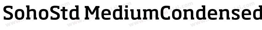 SohoStd MediumCondensed字体转换